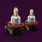 STEDI H8 | H9 | H11 | H16 LED FOG LIGHT BULBS (PAIR)